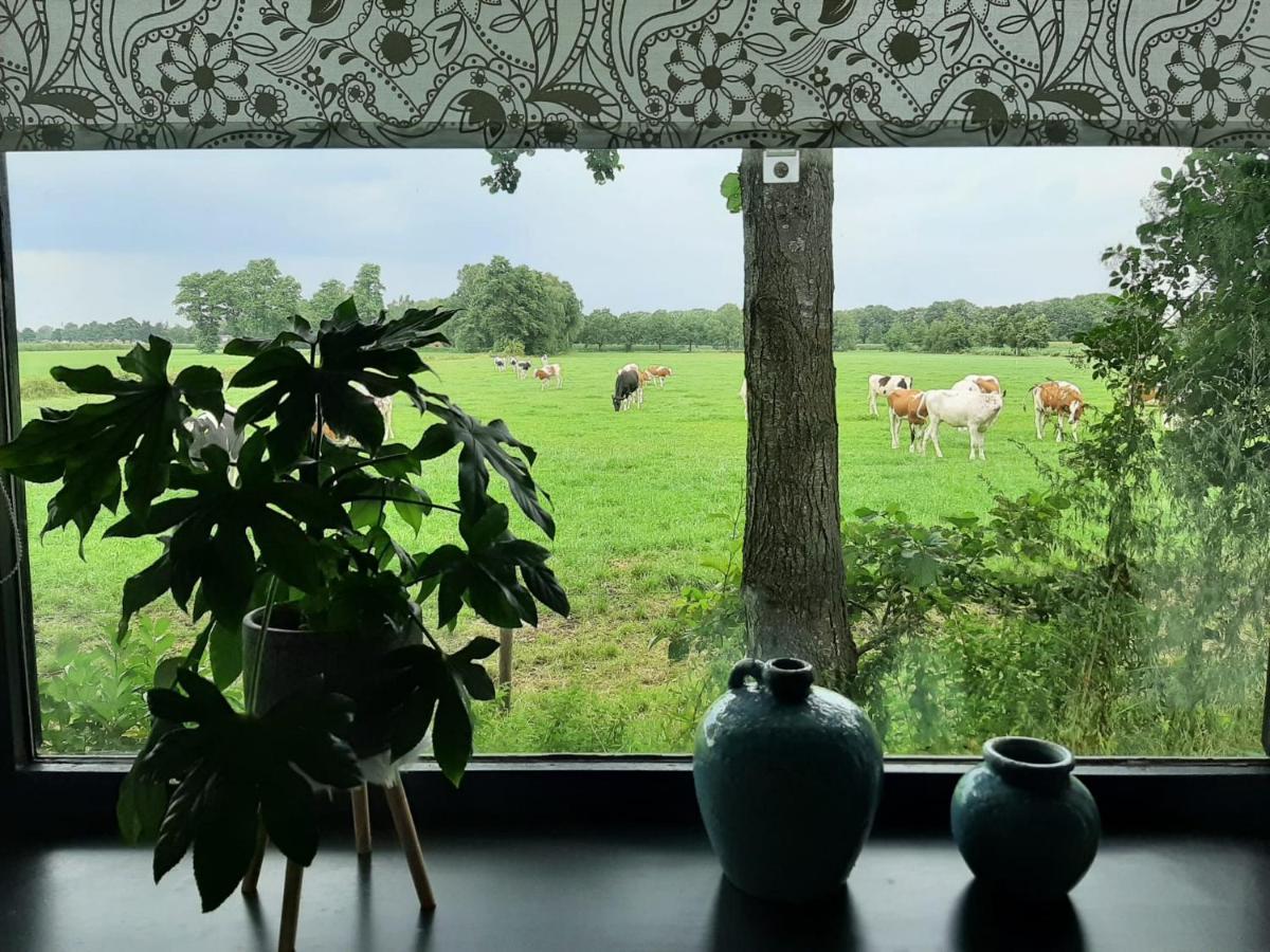 Pak Oe Rust, Bij Stacaravan Busscher Geesteren  Bagian luar foto